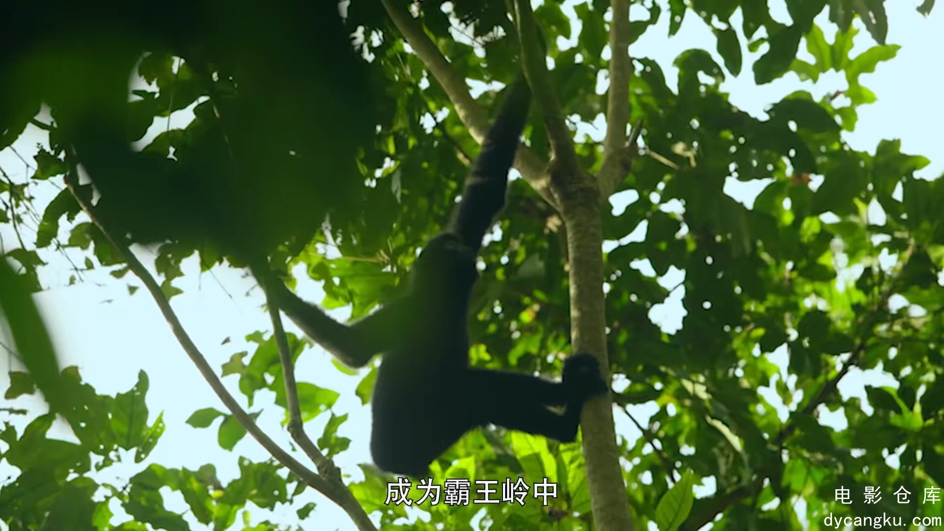 [电影仓库dycangku.com]S01E03.返璞家园.mkv_snapshot_25.15.432.jpg