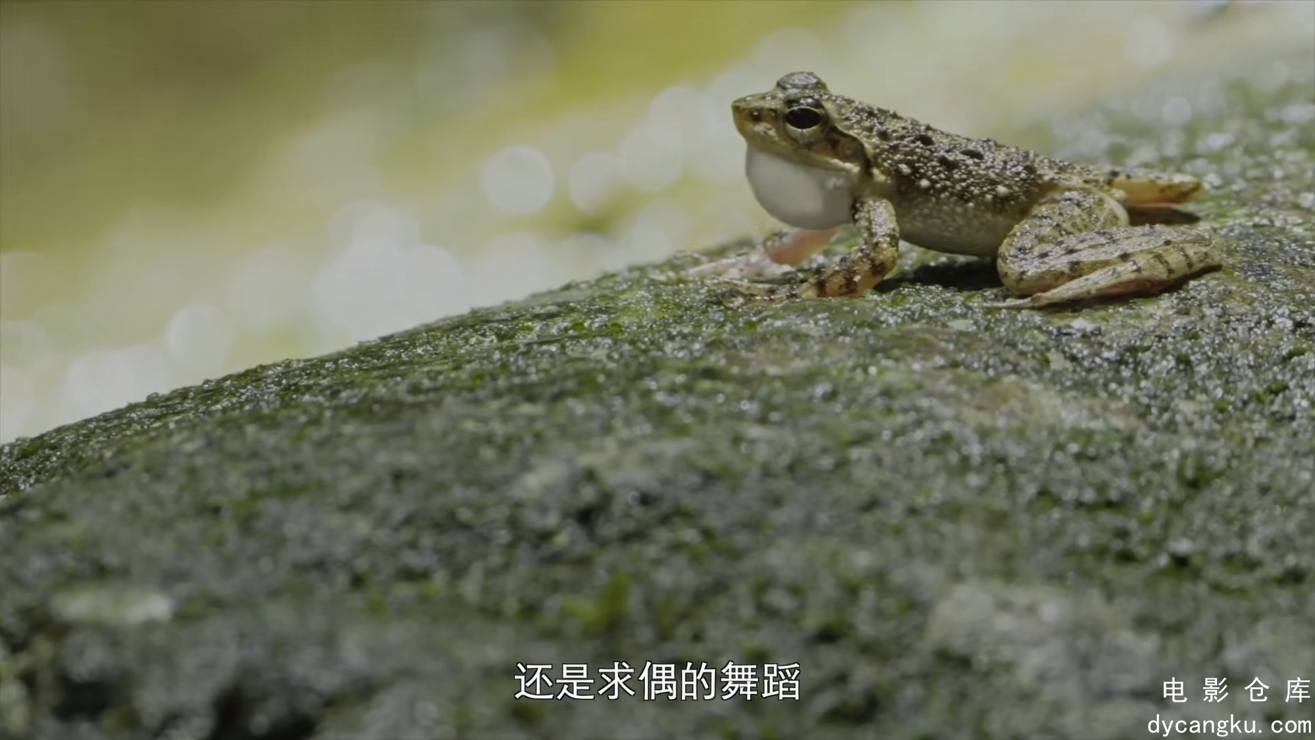 [电影仓库dycangku.com]S01E02.万物共生.mkv_snapshot_15.58.578.jpg