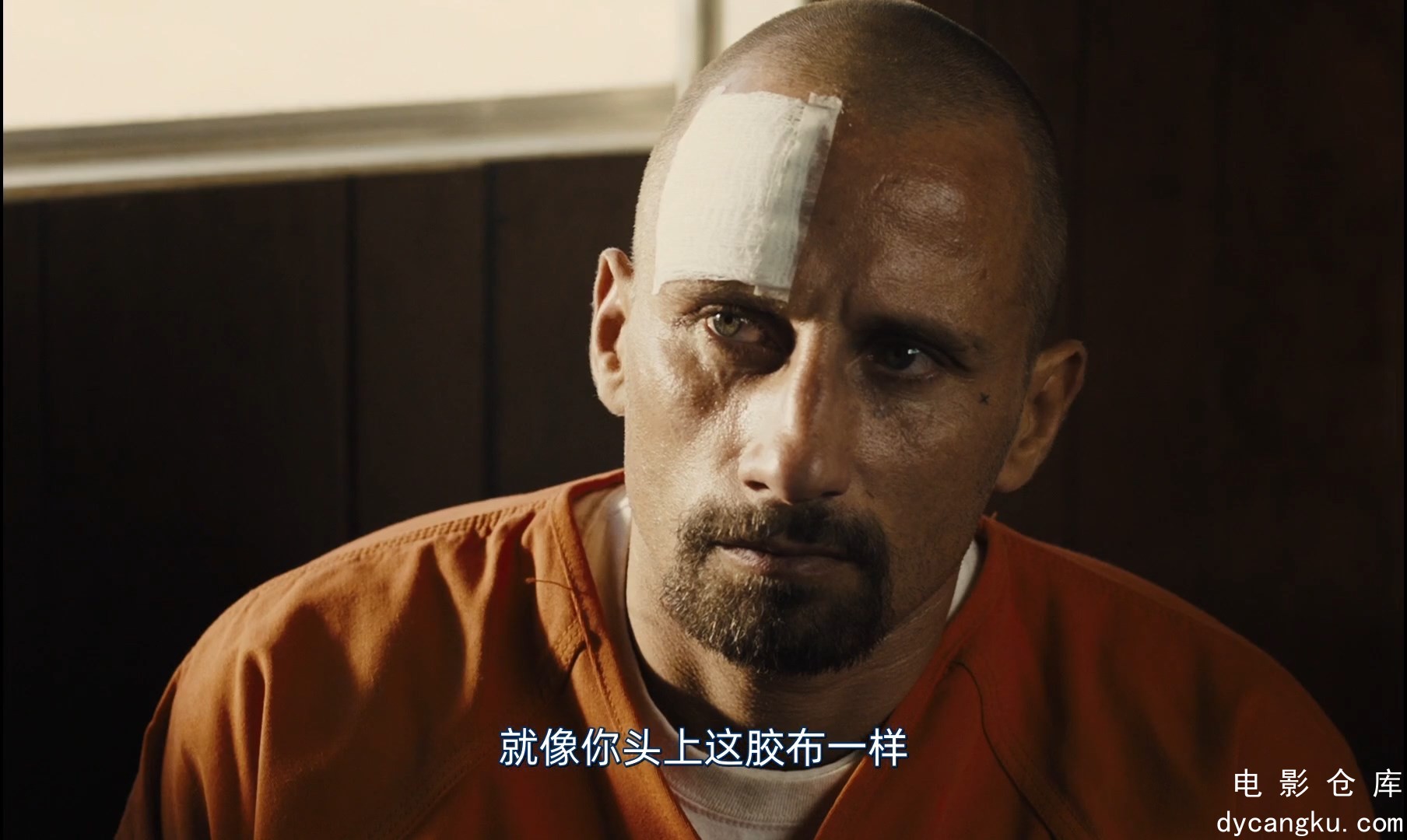 [电影仓库dycangku.com]野马.2019.BD1080P.AAC.H264.CHS.mp4_snapshot_01.25.26.410.jpg
