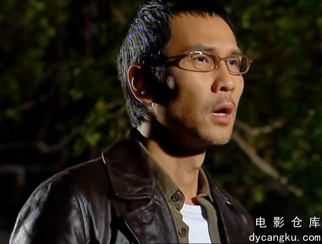 [电影仓库dycangku.com]香港奇案实录国语EP01-04.mp4_snapshot_01.15.20.940.jpg