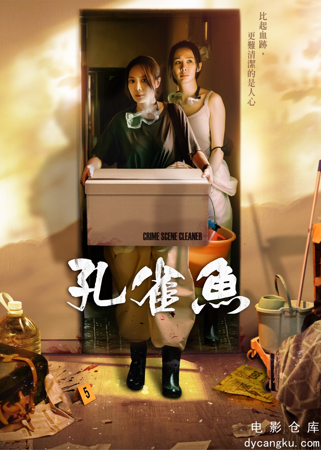 孔雀鱼2024.jpg