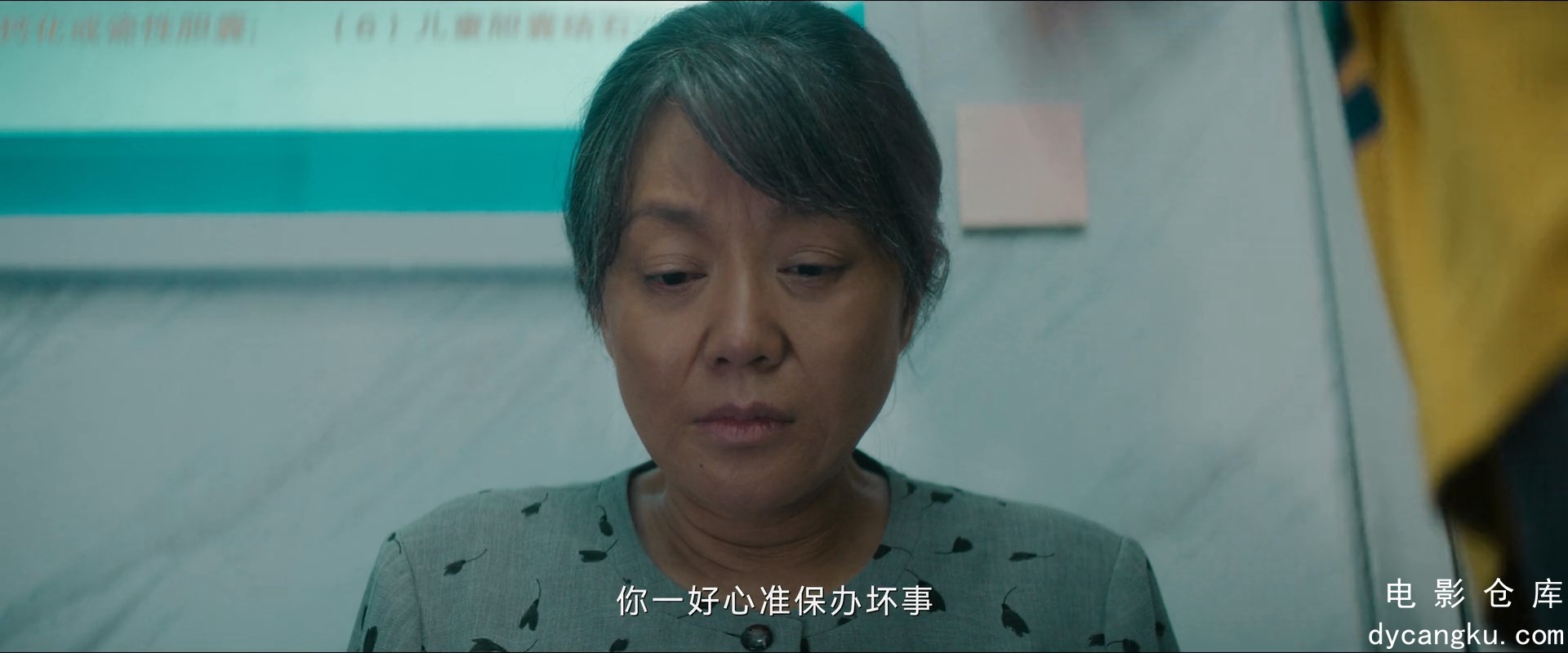 [电影仓库dycangku.com]外婆的新世界01.mp4_snapshot_19.29.255.jpg
