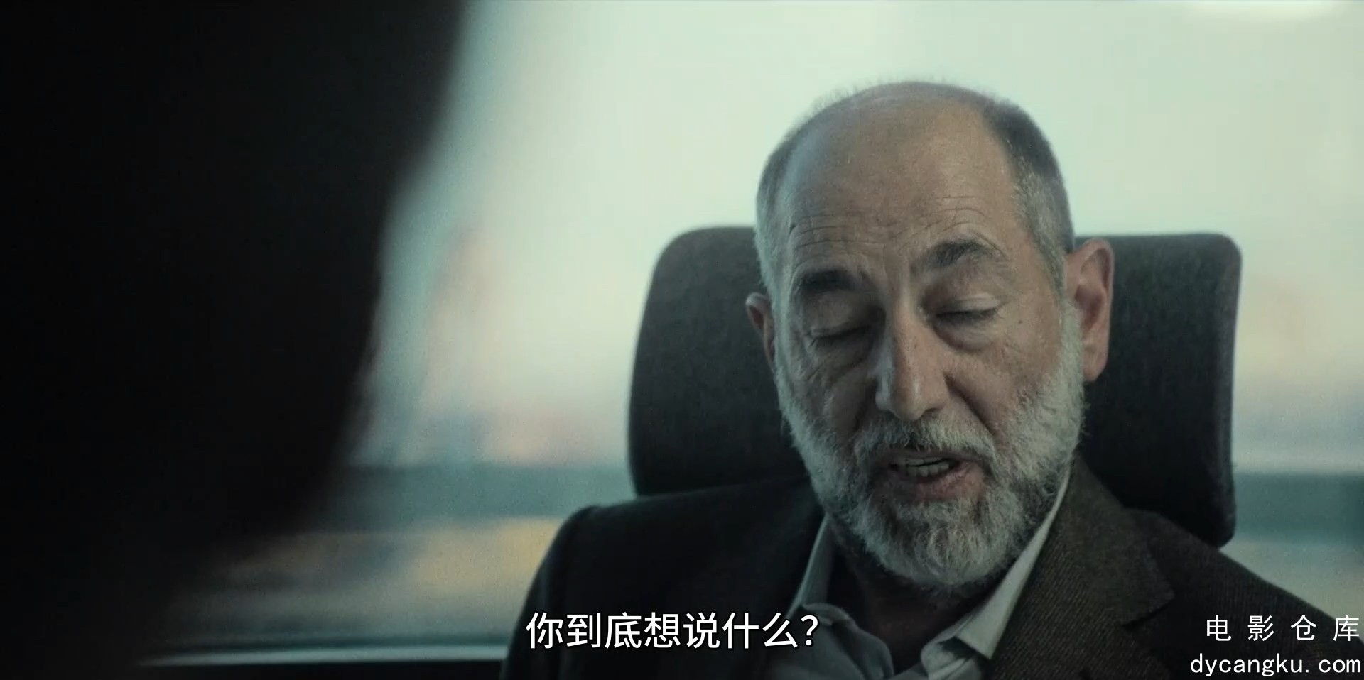 [电影仓库dycangku.com]01.mp4_snapshot_20.52.497.jpg