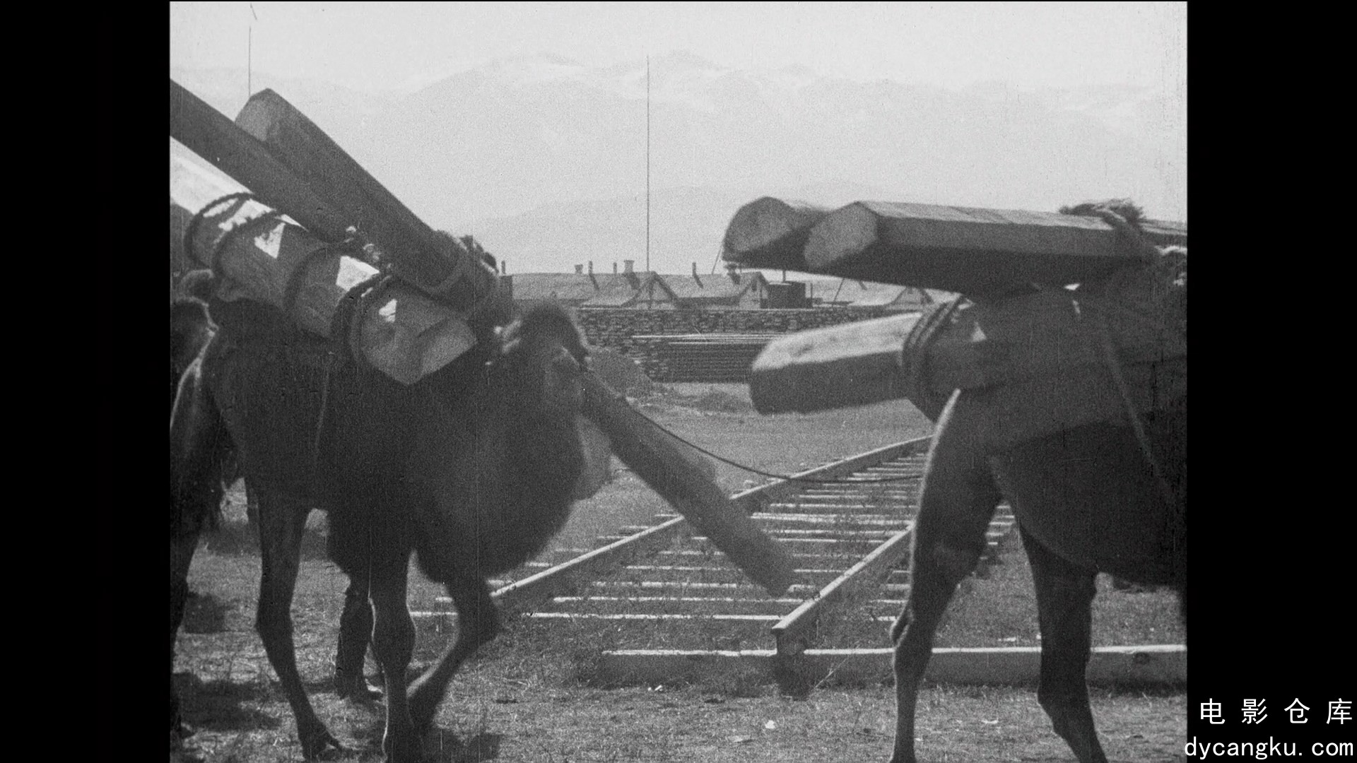 [电影仓库dycangku.com]Turksib.1929.1080p.BluRay.Remux.AVC.FLAC.2.0.mkv_snapshot_.jpg